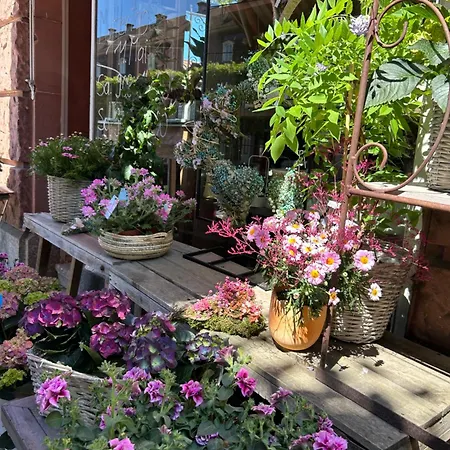 Aussergewoehnliches Bnbretreat Schlossnaehe, Beliebte Restaurants Schwetzingen